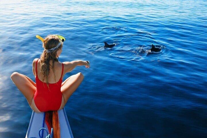 Dolphin House & Snorkeling Excursion à Hurghada