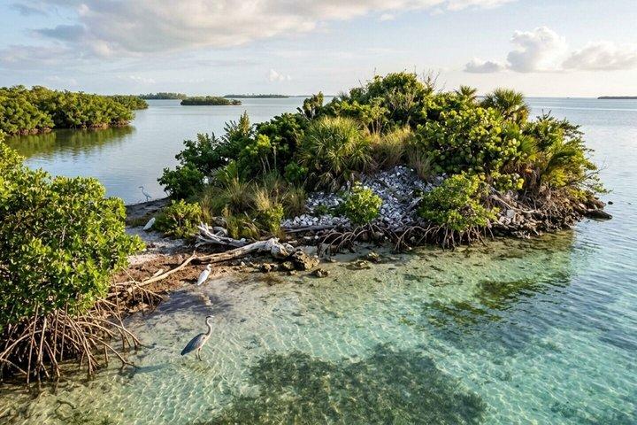Scopri Florida Keys: un tour autoguidato