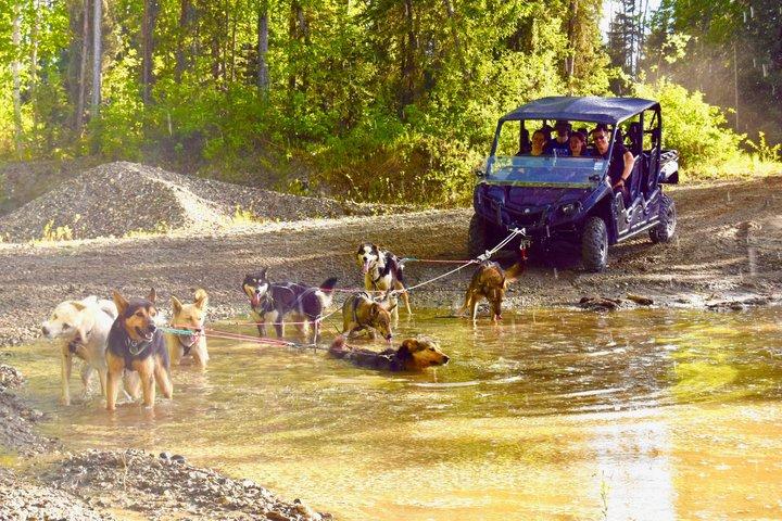 45 minutes Fairbanks Husky Experience avec UTV