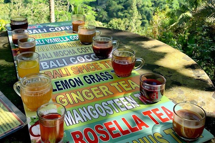 Ubud Privétour : Bali Verborgen juweeltjes, tempels & rijstterrassen