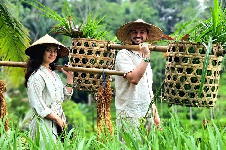 Ubud Privétour : Bali Verborgen juweeltjes, tempels & rijstterrassen
