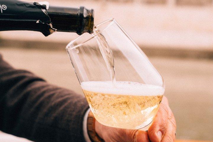 Crociera privata in barca sul Tevere con aperitivo nel cuore di Roma