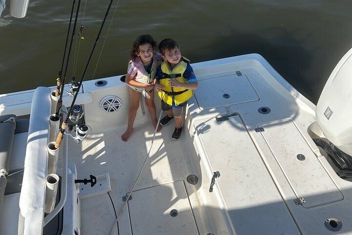 Sebastian Inlet Wildlife Tour - Observação de pássaros e golfinhos