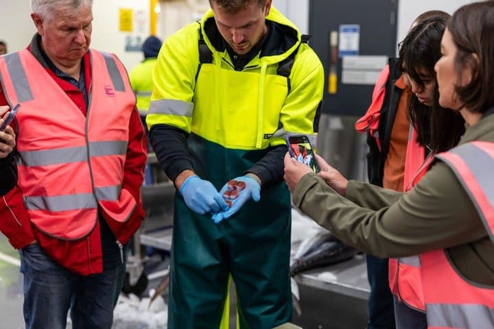 Sydney Fish Market Behind the Scenes Tour
