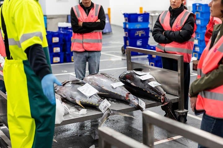 Sydney Fish Market Behind the Scenes Tour