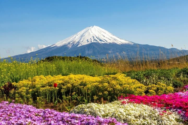 Mount Fuji, Oishi Park, Kawagoe and Fuji-Q Highland from Tokyo