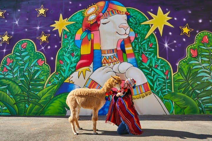Alpaca World, Nami Island and Garden of Morning Calm from Seoul