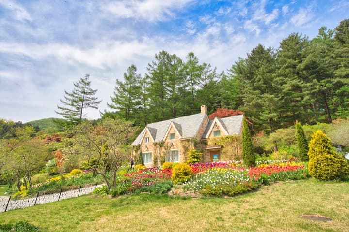 Alpaca World, Nami Island and Garden of Morning Calm from Seoul