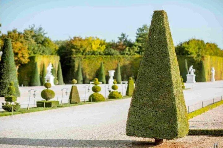Tour privato di Versailles con Golf carrello e accesso al Trianon