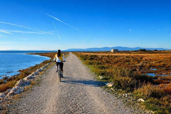 Virtuel guidet tur med elcykel i Maremma Regional Park