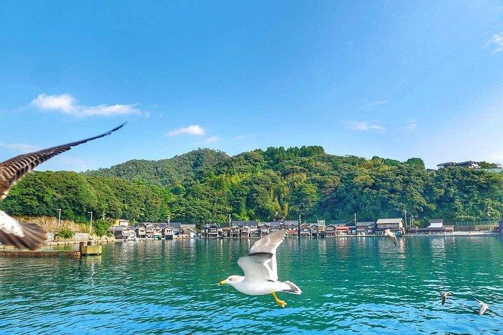 京都日帰り:天橋立・伊根船屋&伊根湾クルーズ