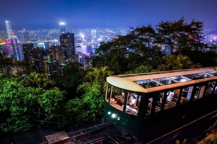 Private Hong Kong Top Night Tour: Cruise, Aquarium Dinner, Peak