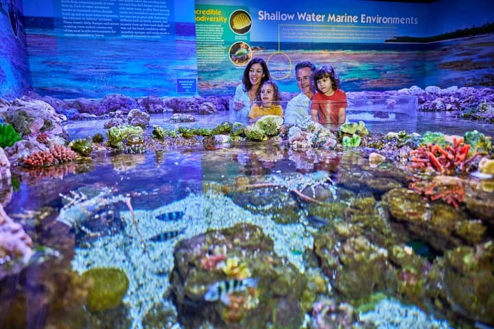 Cairns Aquarium Admission Ticket