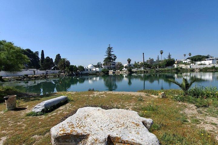 Karthago Bardo Museum UNESCO Tunis und Sidi Bousaid Private Tour