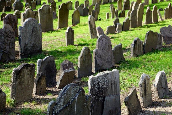 Boston: Freedom Trail Geschiedenis Wandeltocht met kleine groep