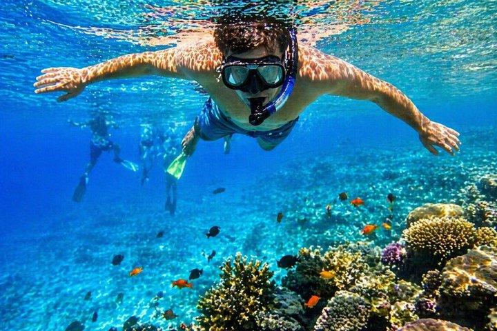 Escursione sull'isola di Tiran da Sharm Elsheikh