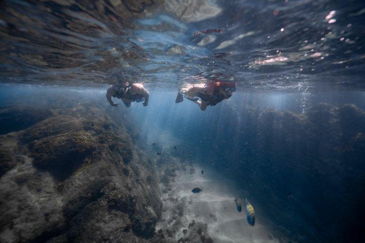 Privat Los Cabos snorkeltur til Chileno-bugten og Santa Maria-bugten