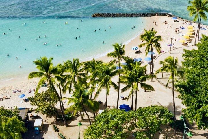 Explore Waikiki: Self Guided tour from Ko Olina with transfers