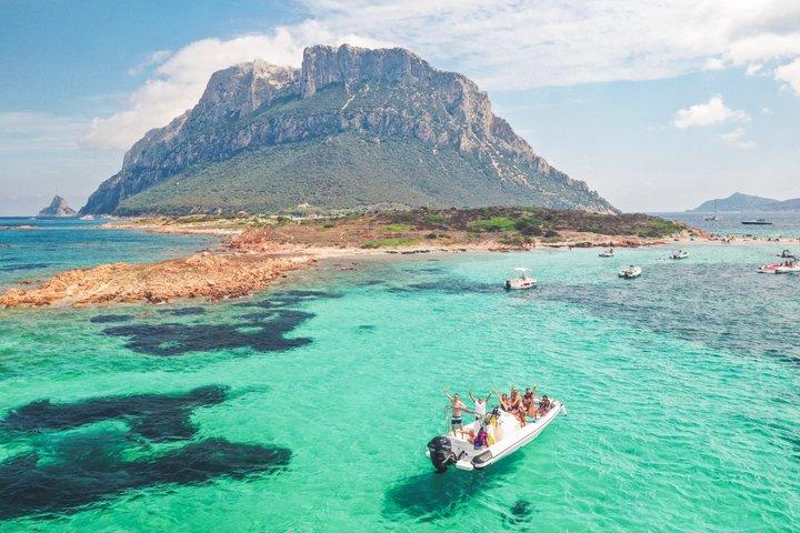 Delfinsafaritur med snorkling fra Olbia