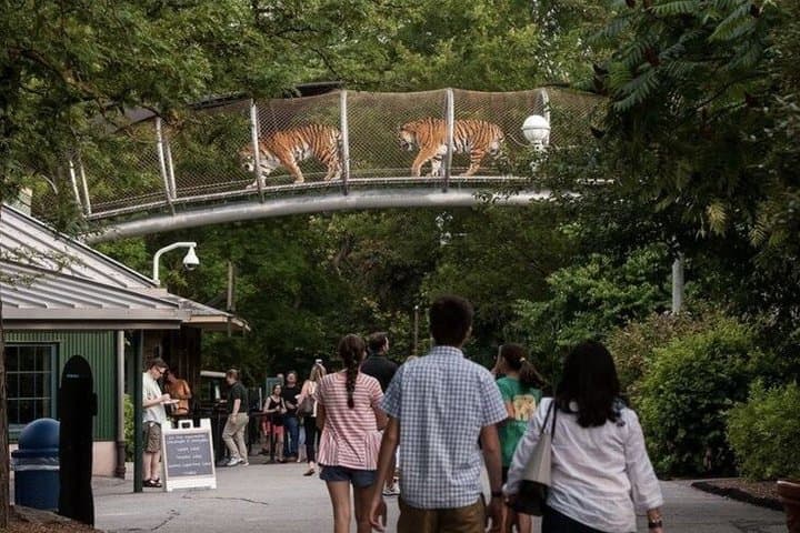 Paris Zoological Park Entry Ticket