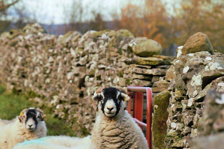 Yorkshire Dales de Windermere
