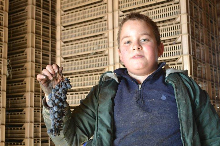 Amarone Della Valpolicella vinoplevelse - Mød Vogadori-familien