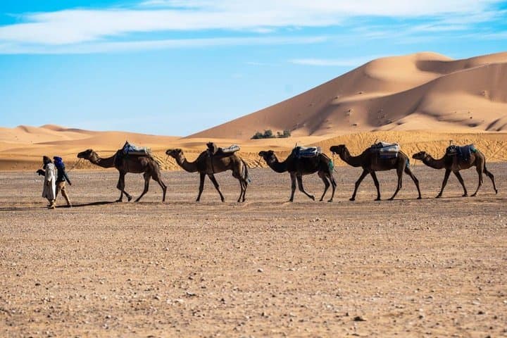 3 Days Discovery of Oasis, Desert and Valleys in Morocco