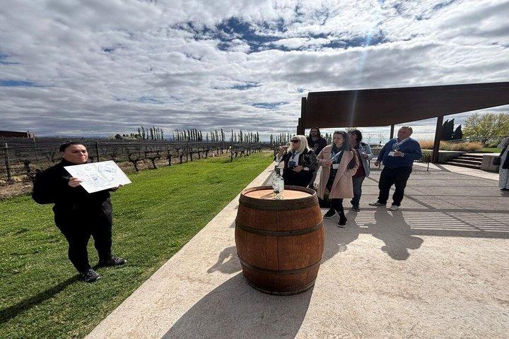 Mendoza Wine Bus Tour Hop On Hop Off Wineries Experience