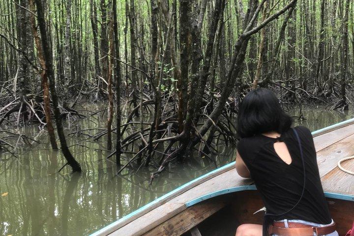 Ko Lanta Mangrove Boat Trip com almoço e Lanta Old Town