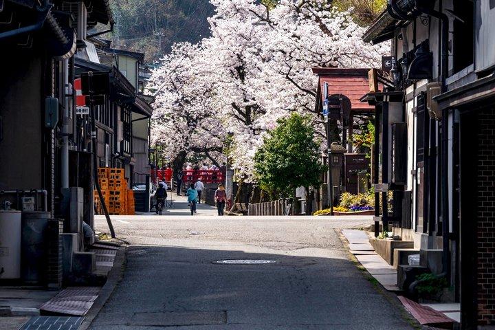 高山のナイトライフプライベートウォーキングツアー(ディナー付き)