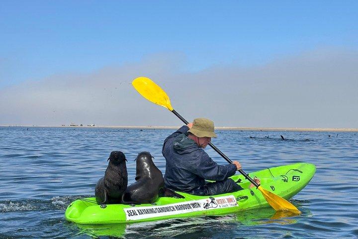 Seal Kayak à Pelican Point Cruise Liner Special
