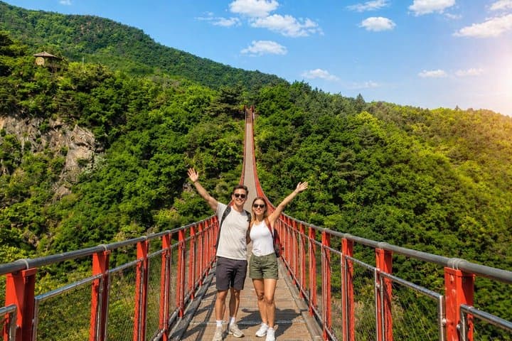 DMZ Shot Tour with NK&JSA Museum and Free Shooting Range