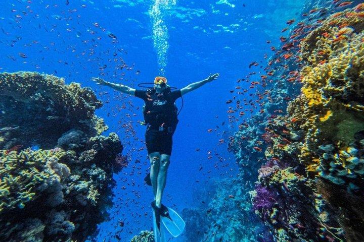 Sharm el Sheikh White Island & Ras Mohamed Schnorcheln, Mittagessen