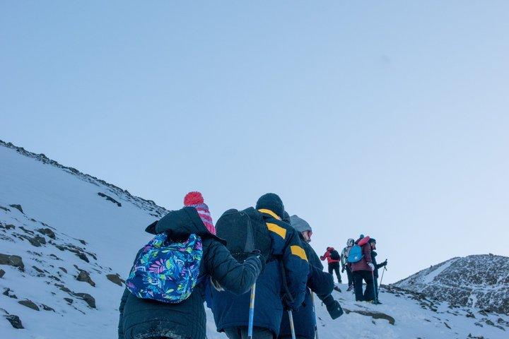 Small-Group Vinciguerra Glacier & Tempanos Lagoon Trek