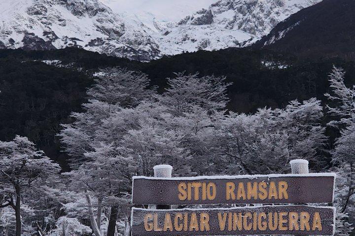 Small-Group Vinciguerra Glacier & Tempanos Lagoon Trek
