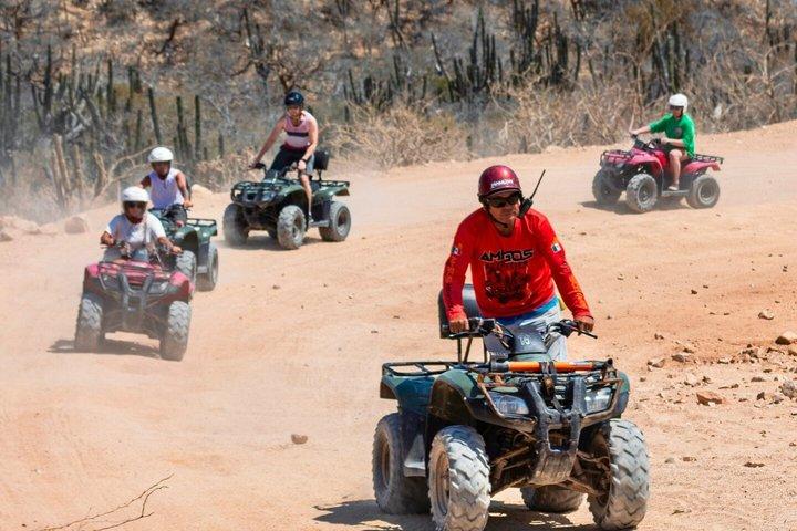 Los Cabos Adventure Combo: Choose 3 Activities