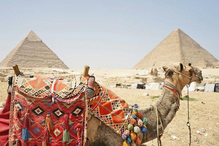 Grand Egyptian Museum & Pyramids from Alexandria Alberghi