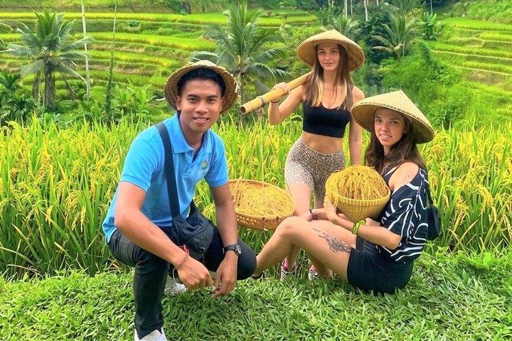 Ubud : Bosque de Monos, Columpio de la Selva, Terraza de Arroz y Templo del Agua