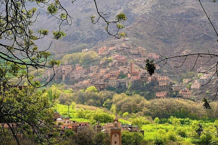 Privat Atlas Mountains Day Trip fra Marrakech med Berber Lunch