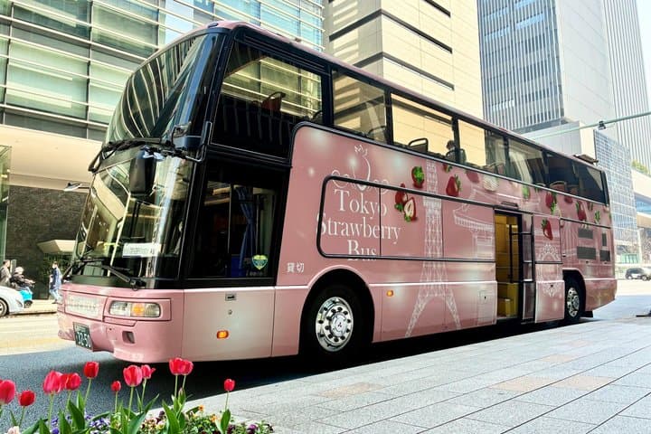 Premium Strawberry & Tokyo City Cruise on Open-Top Bus
