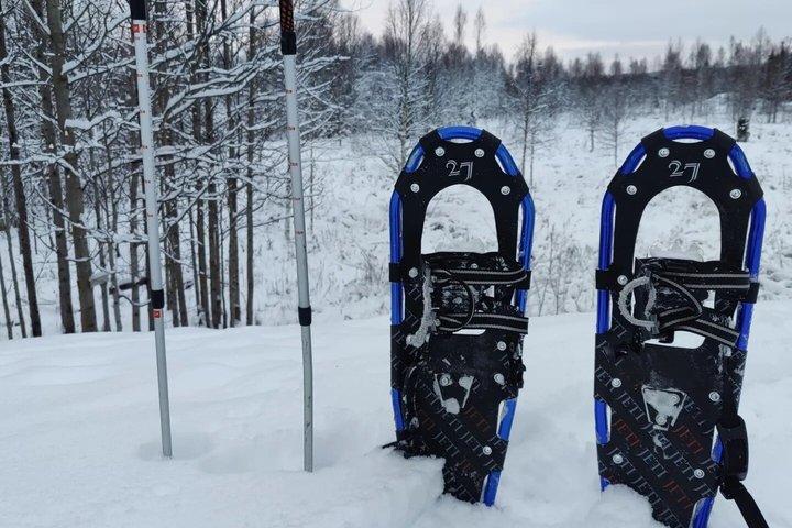 Explore a Silent Arctic Forest em Rovaniem