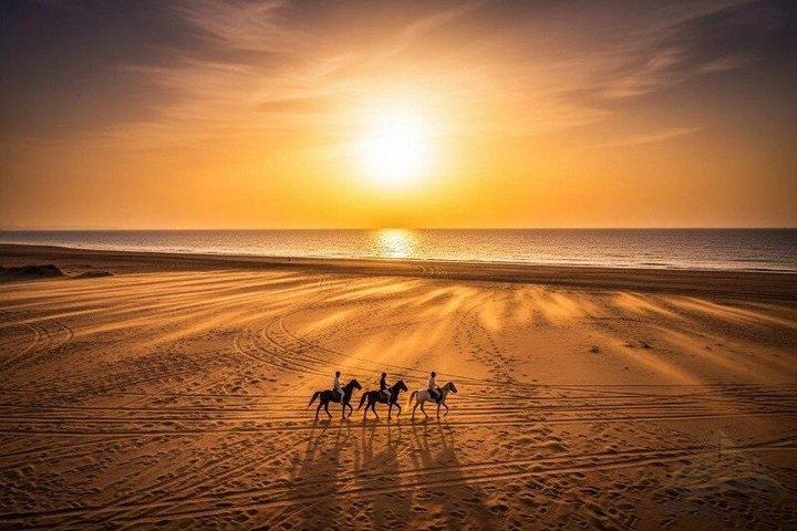 Horse Riding & Camel Beach,Desert, Swim,Sunrise & Sunset-Hurghada