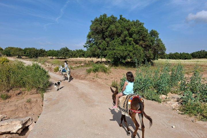 Berber Donkey Ride & Tea i Essaouira