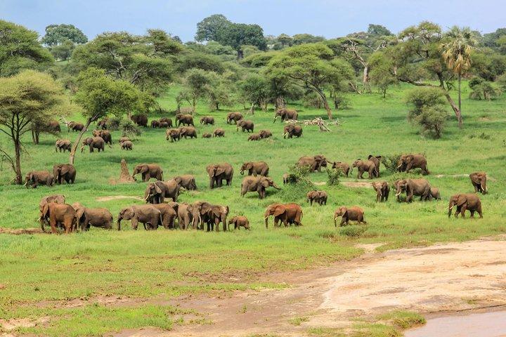 タランギル国立公園日帰り旅行