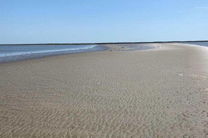 Zeke's Island Sunrise Kayak Tour em Carolina do Norte