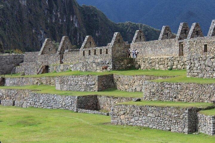 Circuit 2 Tout In Machu Picchu Transport privé Train et Guide
