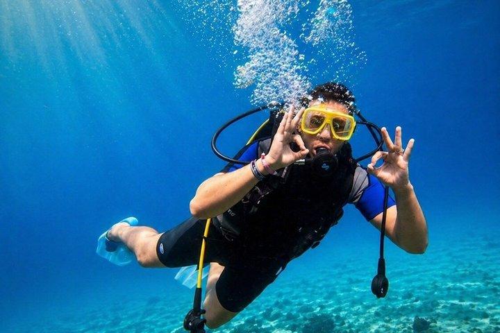 マルサ・アラムシュノーケリング旅行ジュゴンとタートルズマルサ・ムバラク