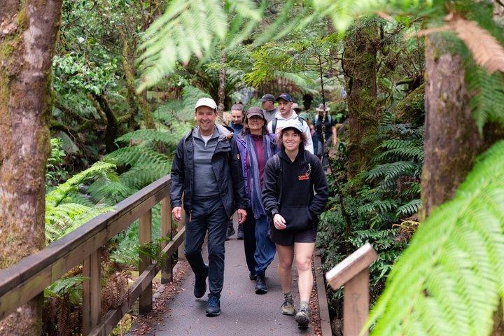 Hobart : Watervallen, Wildernis & Wilde dieren - Actieve dagtour
