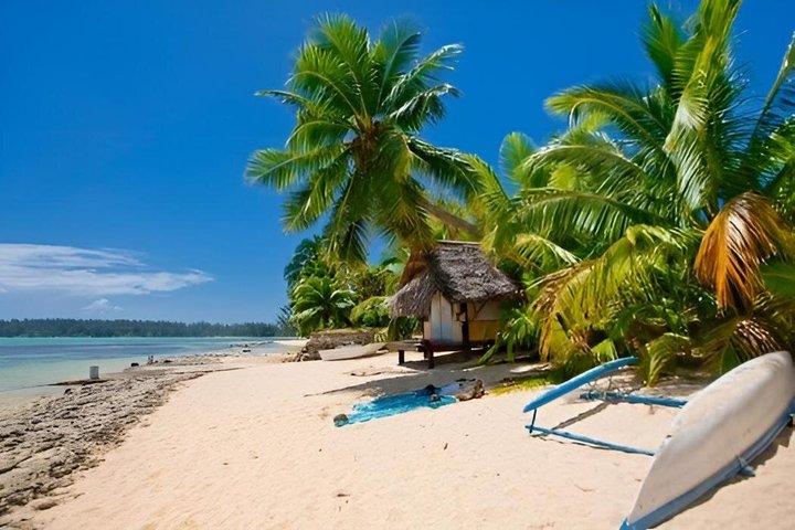Excursion d'une journée sur l'île de Saona au départ de Punta Cana avec déjeuner et boissons