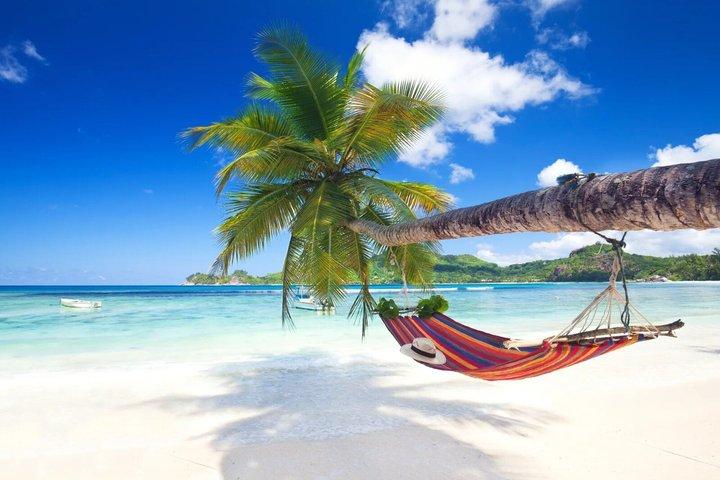 Saona Island Ganztagestour von Punta Cana mit Mittagessen und Getränken